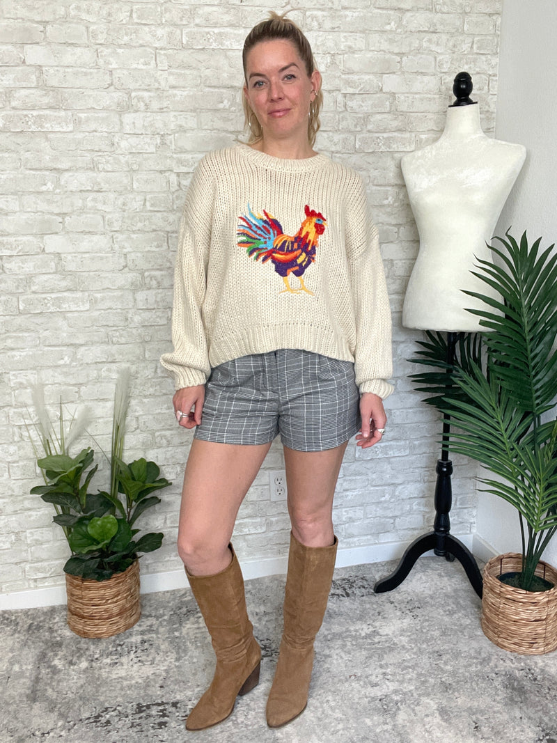 Rooster Doodle Colorful Knit Pullover