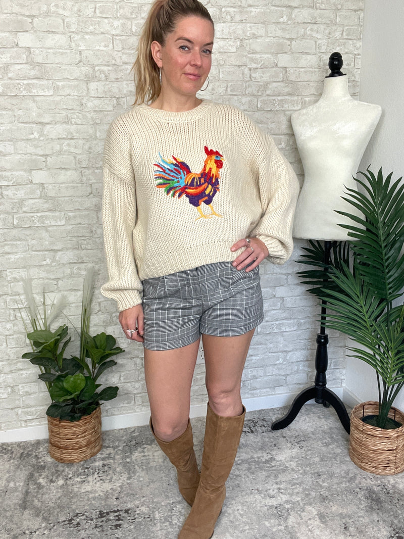 Rooster Doodle Colorful Knit Pullover