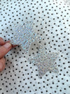 Crystal Star Pasties