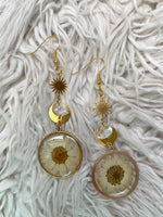 Pressed Flower Daisy Earring
