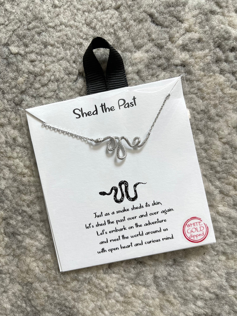 Shed The Past Snake Pendant Silver