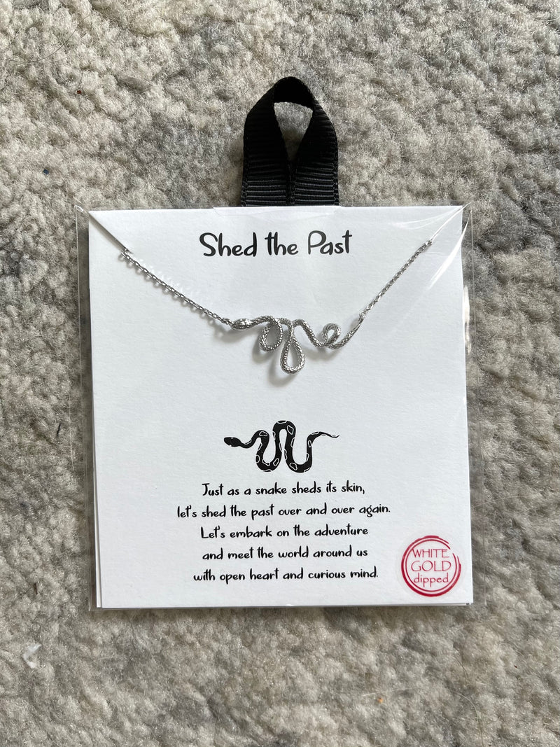 Shed The Past Snake Pendant Silver