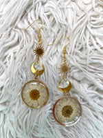 Pressed Flower Daisy Earring