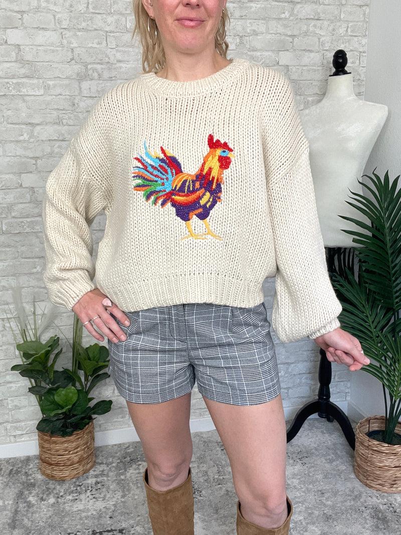 Rooster Doodle Colorful Knit Pullover