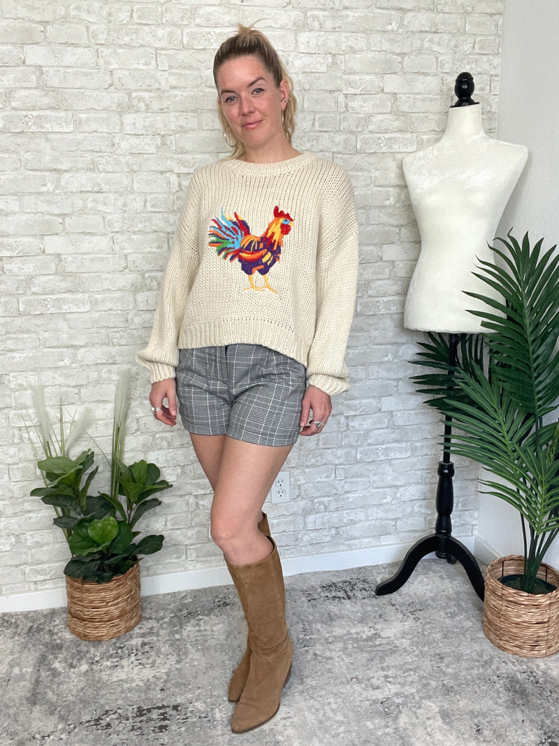 Rooster Doodle Colorful Knit Pullover
