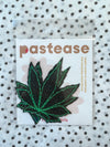 Mary Jane Pasties
